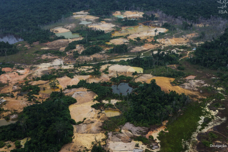 Mais de 20 mil invasores em território Yanomami