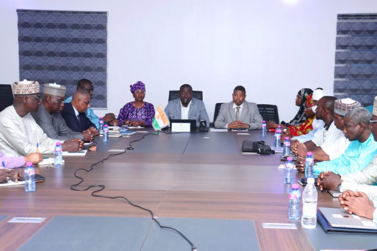 Niger : Installation officielle du comité chargé d’élaborer la stratégie d’accès universel aux services numériques et son plan d’action